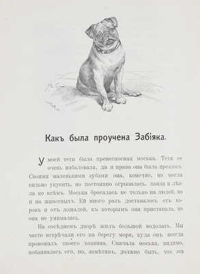 Быкова М.А. Первые рассказы из естественной истории. Для детей, только что научившихся читать. Вып. 1–2. М., 1912.